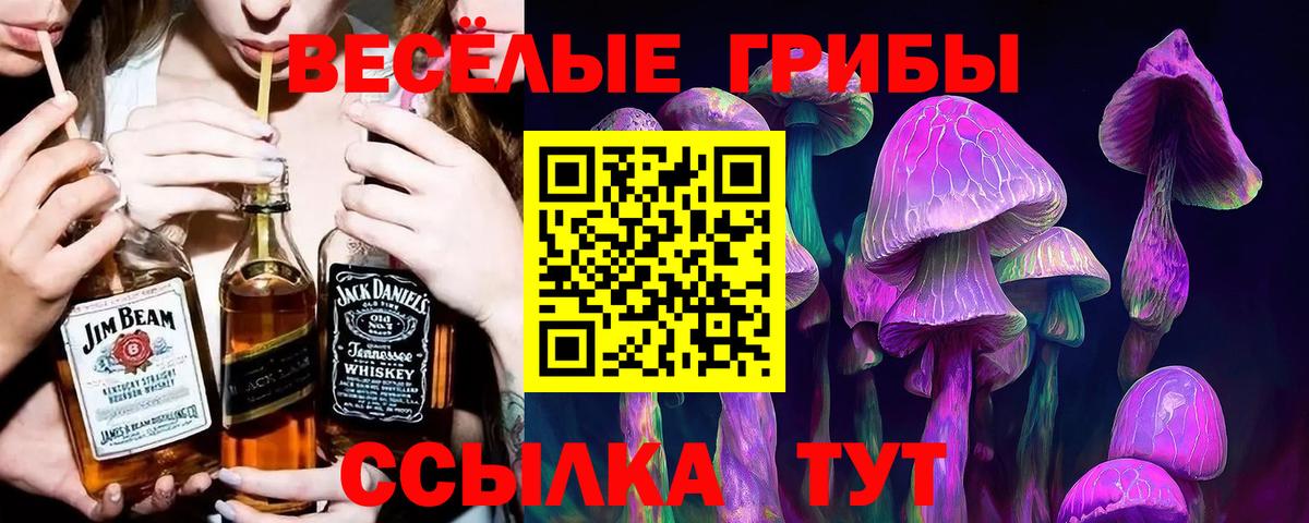Галлюциногенные грибы GOLDEN TEACHER  Псилоцибиновые грибы MAGIC MUSHROOMS  даркнет сайт  Вход с VPN  Кудымкар 